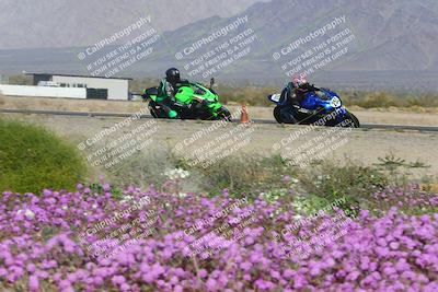 media/Feb-04-2023-SoCal Trackdays (Sat) [[8a776bf2c3]]/Turn 15 Inside Blooming (1050am)/